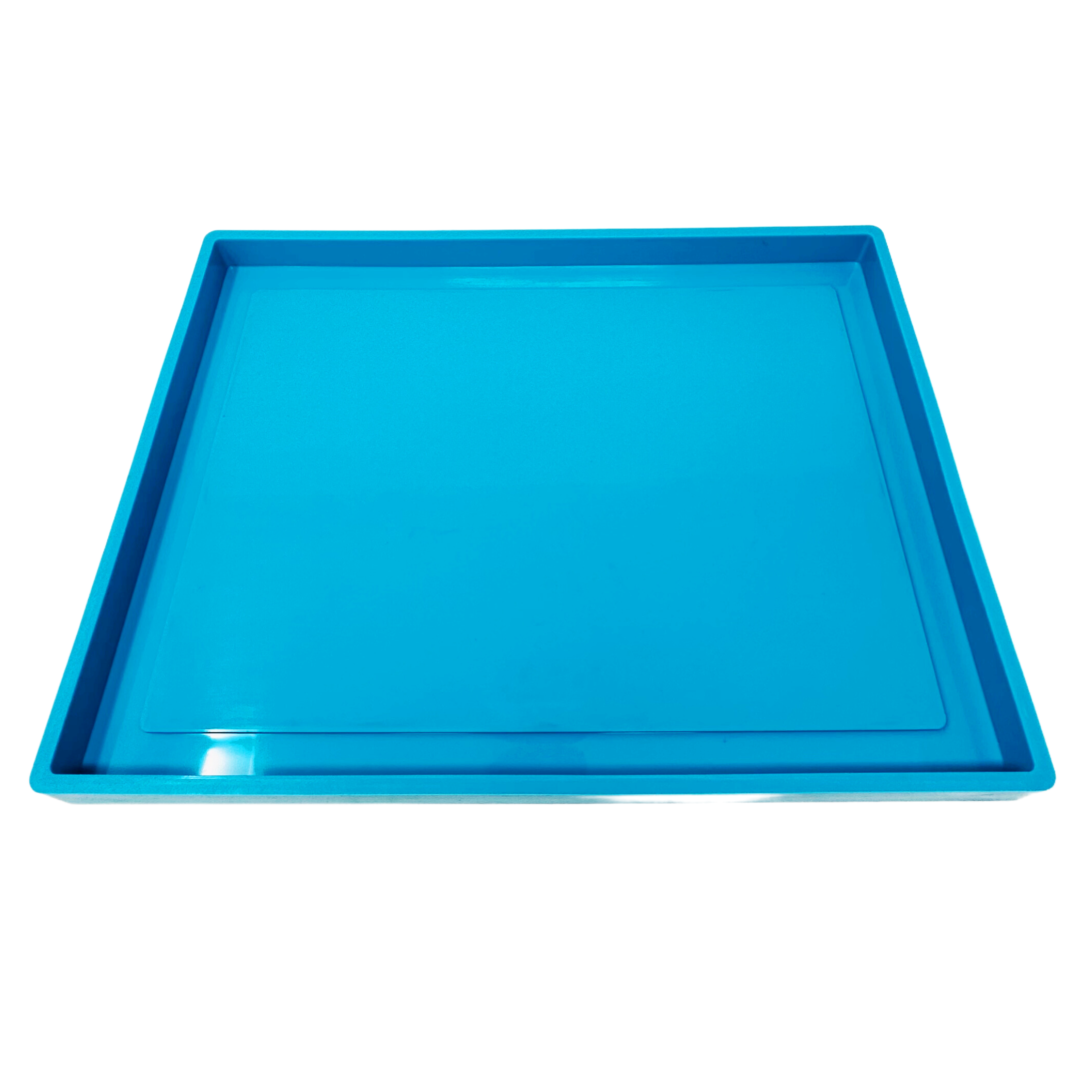 Deep Tray/ Frame with Border - The Mould Story