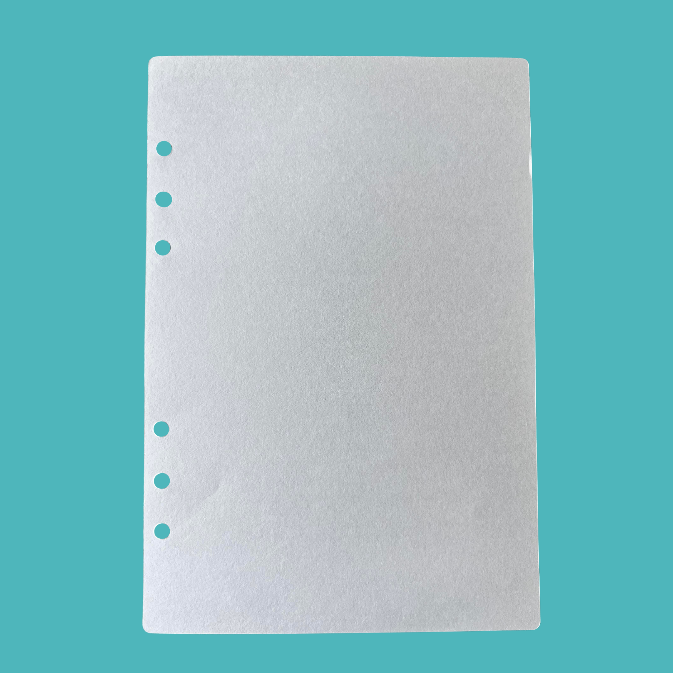 2 Pack A5 Blank Diary Pages - Total 200 Sheets. - The Mould Story