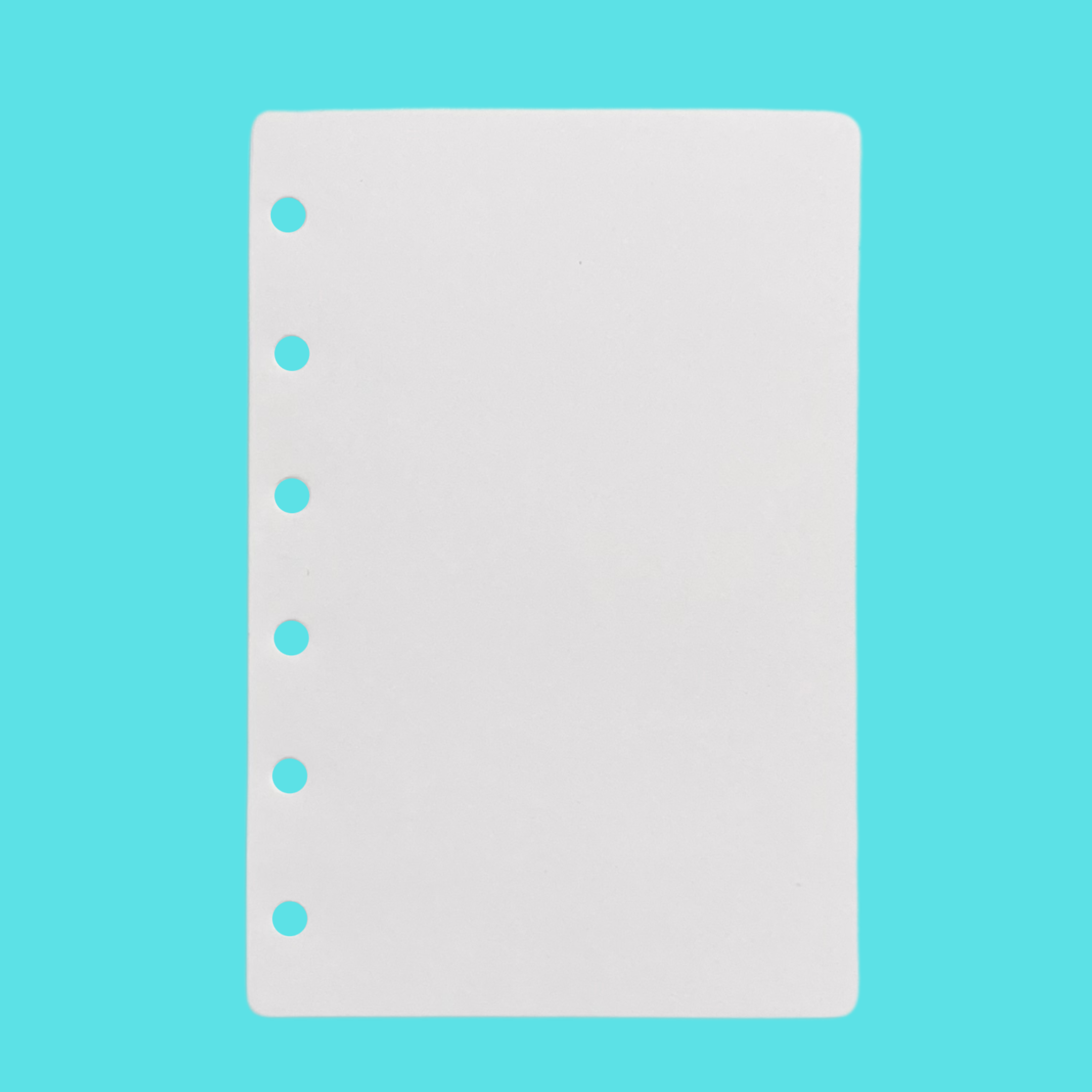 2 Pack A6 Blank Diary Pages - Total 200 sheets - The Mould Story